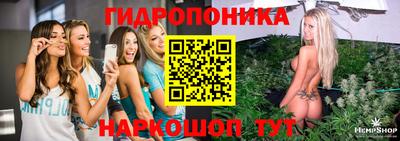 молекула духа Лесосибирск