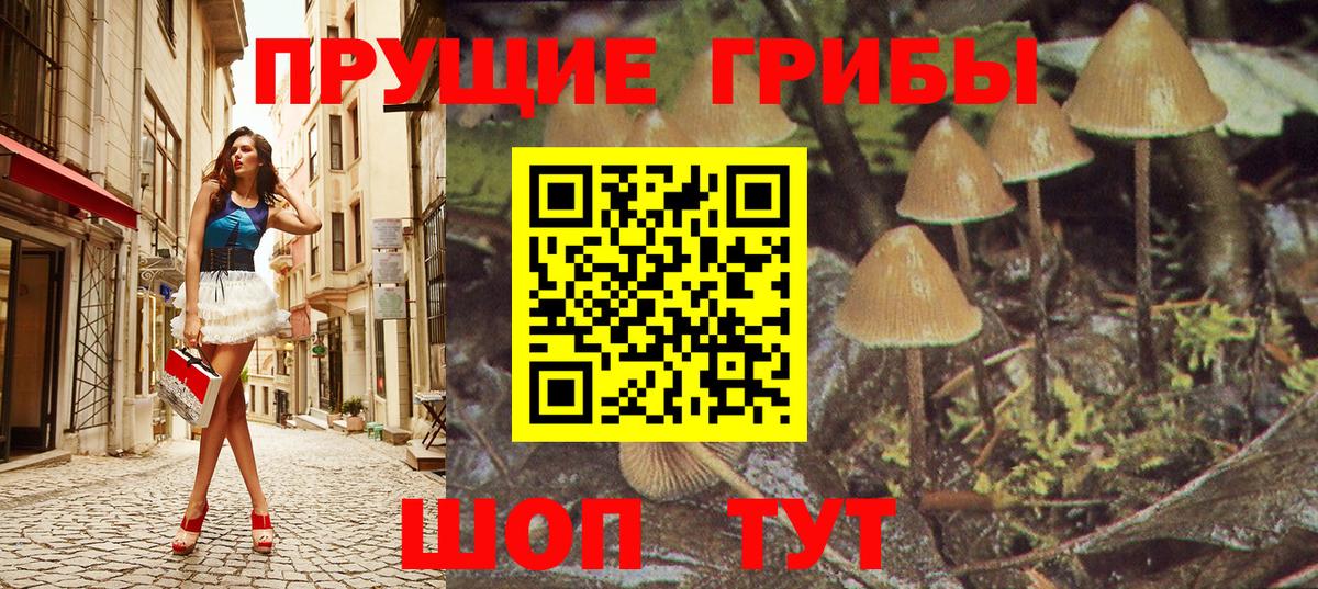 Галлюциногенные грибы Cubensis Тосно
