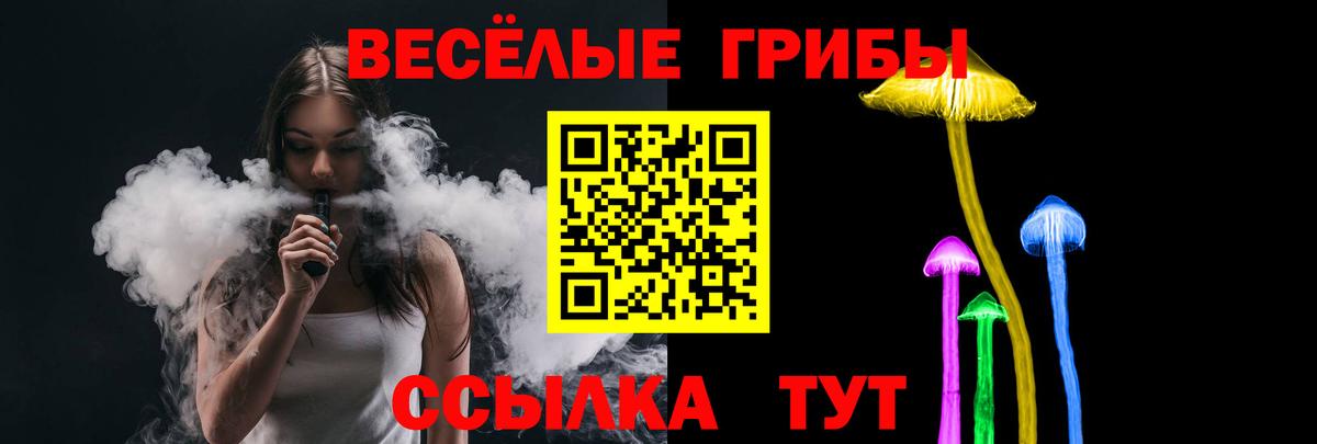 Тосно  Галлюциногенные грибы Psilocybe  Вход с VPN  Псилоцибиновые грибы MAGIC MUSHROOMS 